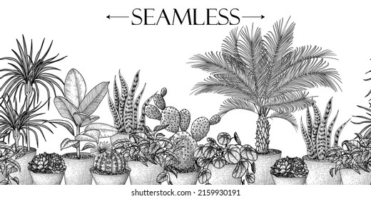 Patrón horizontal sin inconvenientes de plantas domésticas en estilo de grabado. dracena lineal gráfica, lobivia cactus, sansevieria, ficus, escindapsus, cactus de pera espinosa, succulentos, pilea, palma interior
