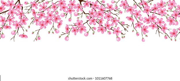 Seamless horizontal pattern with pink cherry flowers. Branches of a blossoming sakura on a white isolated background.