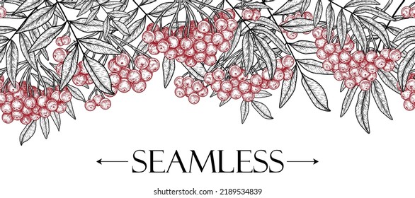 Seamless horizontal pattern rowan bush in engraving style