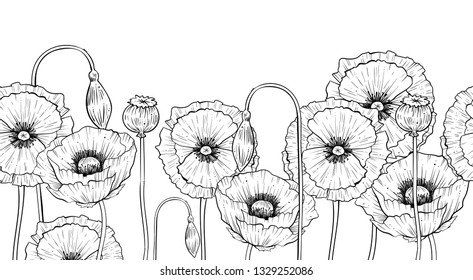 Seamless horizontal pattern of wild poppies, vector