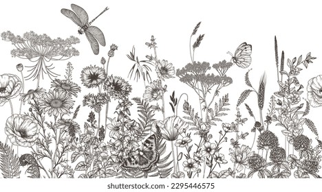 Patrón horizontal sin foco de flores silvestres y plantas. Chamomile, trébol, achicoria, amapola, flor de maíz, campanas, periwinkle, mariposa, verónica, mariposa, libélula en forma de grabado