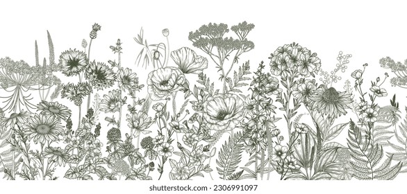 Seamless horizontal pattern of wildflowers and plants. Chamomile, clover, chicory, poppy, cornflower, bells, periwinkle, buttercup, veronica in engraving style