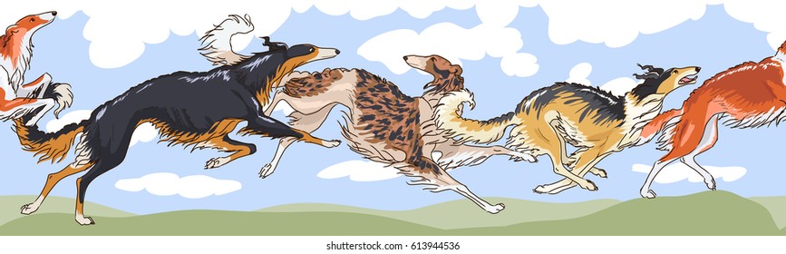 Seamless horizontal ruler, may be used as header or footer. Four russian wolfhounds running outdoors. Elegant pedigree borzoi dogs, green field and blue cloudy sky. Hand drawn vector illustration.