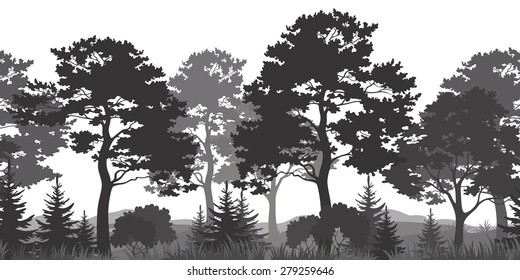 Seamless Horizontal Summer Forest with Pine, Fir Tree, Grass and Bush Black and Gray Silhouettes on White Background. Vector