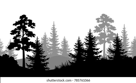 Seamless Horizontal Summer Forest with Pine, Fir Tree, Grass and Bush Black and Gray Silhouettes on White Background. Vector