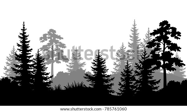 Seamless Horizontal Summer Forest Pine Fir Stock Vector Royalty Free