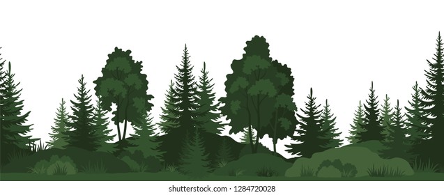 Bosque horizontal de verano sin problemas con árboles, hierbas y arbustos, siluetas verdes sobre fondo blanco. Vector