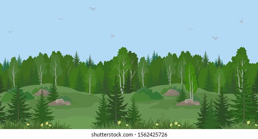 Paisaje horizontal de verano o primavera sin problemas, Bosque en colinas con Aves y Árboles de Par, Flores, Grasa Verde y Cielo Azul con Pájaros. Vector