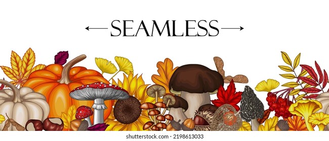 Seamless horizontal vector autumn pattern. Maple leaf, chestnut, rowan, fallen leaves, acorns, physalis, maple seeds, sunflower, pumpkin, ginkgo, fly agaric, chanterelles, porcini mushroom, mushrooms