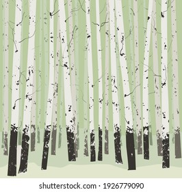 seamless horizontal vector background with trees - birches. Light, spring gray-green tones 