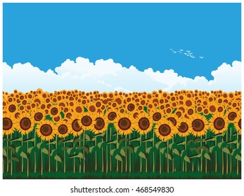 Seamless horizontal vector illustration of picturesque field of sunflowers
