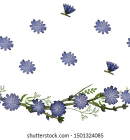 Seamless horizontal vector pattern. Delicate blue wildflowers. Botanical elements of chicory flowers. Medicinal plants. Meadow grasses. Latin name Cichorium. Design for cosmetics, tea, gifts, poster.