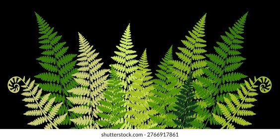 Seamless horizontal vector pattern of fern bushes. Kupala night. Blooming of the fern. Poster, frame, greeting card with flower leaves and place for text. The image can be used to decorate invitations to a holiday, a wedding, thematic cards. vector
