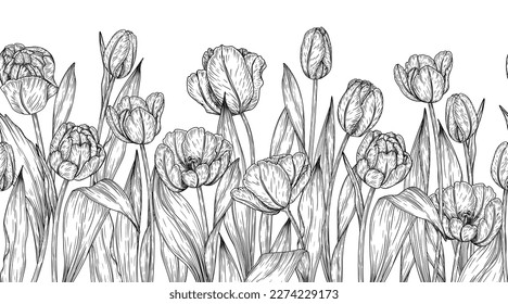 Seamless horizontal vector pattern garden tulips