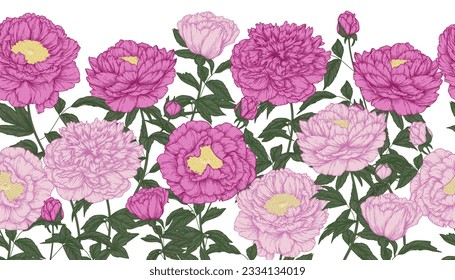 Seamless horizontal vector pattern garden of pink peony flowers in engraving style