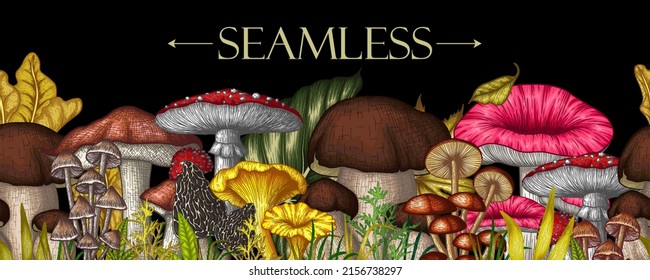 Nahtlose horizontale Vektormuster Pilzwald im Gravierstil. Grafische Linearfliege agaric, Chanterelles, Porcini-Pilze, Honigpilze, Morel, Mycena, Berostung, Boletus