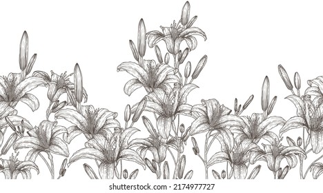 Seamless horizontal vector pattern tiger lily flower garden in engraving style