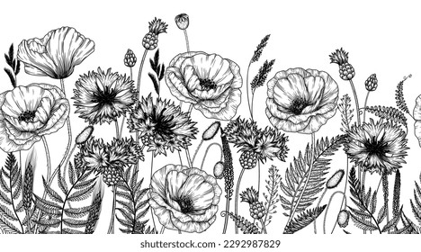 Seamless horizontal vector pattern wild flowers in engraving style. Poppies, cornflowers, fern