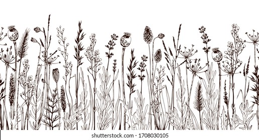 Seamless horizontally border with meadow wild flowers and herbs. Hand drawn illustration isolated on white background.