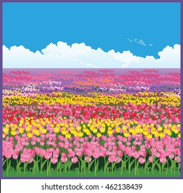 Seamless horizontally vector illustration of the vast fields of tulips