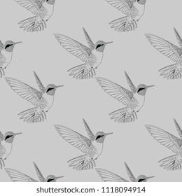 Seamless humming bird. Colibri hand drawn vintage style background.