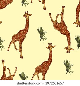 Seamless illustration of giraffes, tropics, Africa. Safari pattern for printing on clothing, packaging, travel, zoo, animal welfare