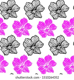 Seamless illustration with orchid flowers vector. Botanical illustration. Great for textiles, wrapping paper, clothes, backgrounds