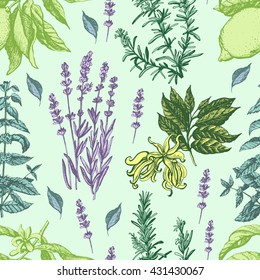 Seamless image of aromatic herbs. Hand drawing. Seamless for fabric design, gift wrapping paper and printing and web projects.