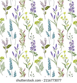 Seamless image of wildflowers herbs. Hand drawing. Seamless for fabric design, gift wrapping paper and printing and web projects. Vector