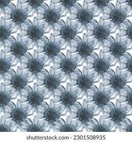 Seamless indigo blue flower pattern with chrysanthemum flowers, design elements. grunge indigo blue sunflower pattern used textile, fabric, wallpapers Jerusalem artichokes flower with white background