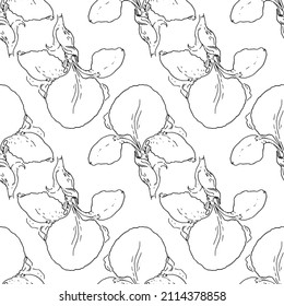 seamless iris flower pattern, hand-drawn in sketch style black outline is often placed on white for design drawing