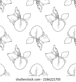 seamless iris flower pattern, hand-drawn in sketch style black outline is often placed on white for design drawing