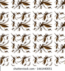 Seamless and isolated animal pattern cartoon illustration