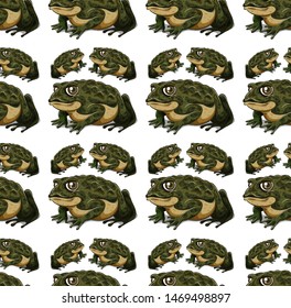 Seamless and isolated animal pattern cartoon illustration
