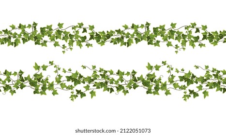 Seamless ivy plant branch cartoon vector illustration. Сlimbing vine. 