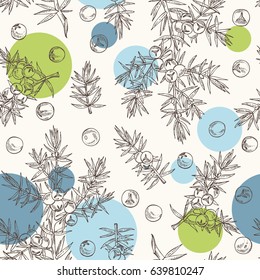 Seamless with juniper: berries juniper and a branch. Cosmetics and medical plant. hand drawn.