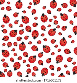 Nahtlose Ladybird, ladybug-Muster auf weißem Hintergrund