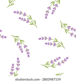 Seamless Lavender Floral Pattern with Purple Flowers and Green Leaves. Minimal Botanical Vector Background.