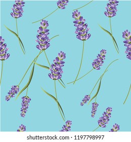 Seamless lavender flower romantic pattern vector