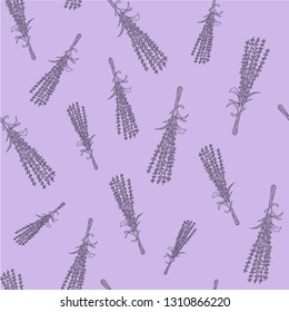 Seamless with lavender. hand drawn