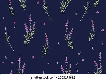 Seamless lavender pattern. Flowers on deep blue background