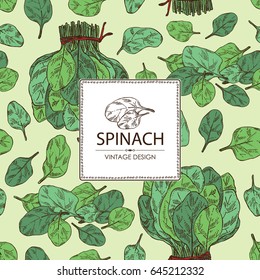 Seamless with leaves and bunch of spinach. Vector hand drawn illustration
