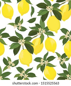 Seamless lemon pattern. Background with fruit. template for fabric, wallpaper design.