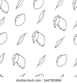 Seamless with lemons. Pattern with outline limes. Hand drawn citrus background. Sketch fruits seamless.