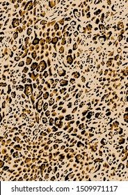 seamless leopard pattern, animal print
