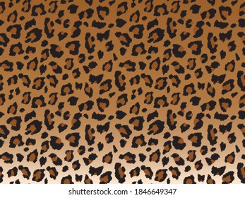 seamless leopard skin pattern texture