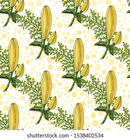 Seamless light background with buds of lilies and herbs on the white. Endless texture for design. Vector background with buds of lilies for romantic cards, design, wedding, fabric, textile.