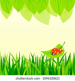 seamless light background with grass and ladybug