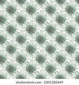 Seamless light green flower pattern with chrysanthemum flowers, design elements. grunge light green sunflower pattern used textile, fabric, wallpapers Jerusalem artichokes flower with white background