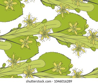 Seamless linden pattern. Ornament of a branch of a Tilia tree. Background of a basswood. Limetree or tree.